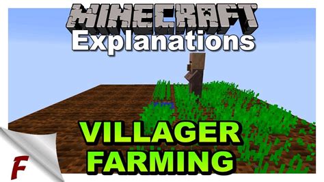 villager farmer not farming|minecraft farmer villager not harvesting.